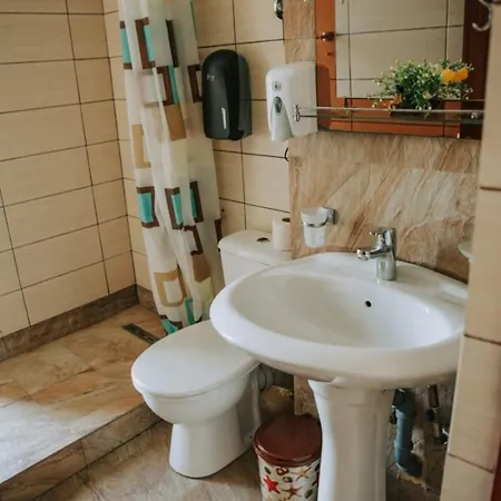 Pensiunea Cristian Alexandru בית הארחה 3*