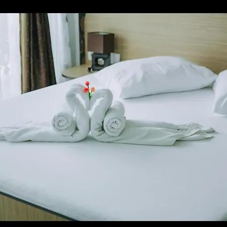 Pensiunea Cristian Alexandru בית הארחה 3*