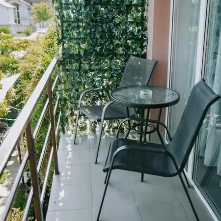 Pensiunea Cristian Alexandru ゲストハウス