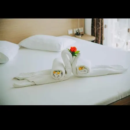 Pensiunea Cristian Alexandru 3* テキルギオル